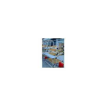 Dynamic Racking(carton flow rack,logistics equipment)