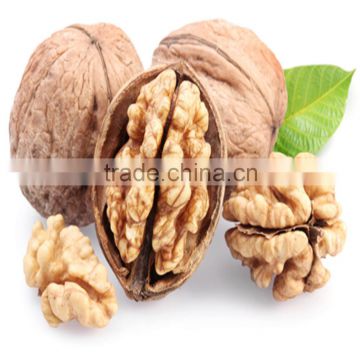 Premium Quality Organic Walnuts in shell