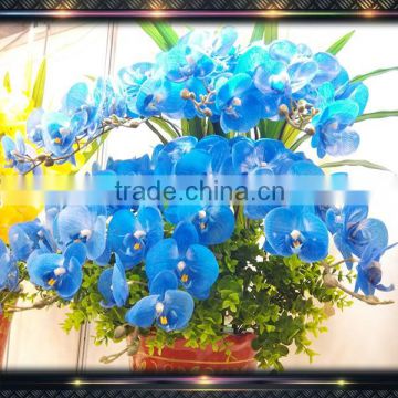 real touch phalaenopsis artificial blue orchids flowers