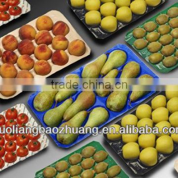 SGS/FDA 39X59cm Many Counts Food Plastic Packaging For Display