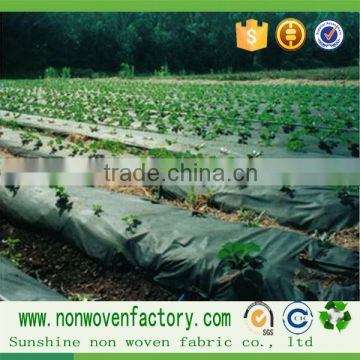 PP non woven weed barrier wholesale