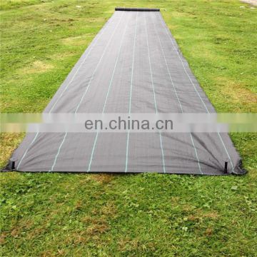 100% virgin pp material ground cover/weed control fabric for greenhouse