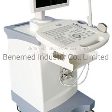 Premium Trolly Build-in Black and White Ultrasound Scanner Diagnostic Equipment