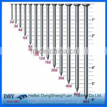 china nails manufacture top quality bright polished common nail/common iron nail/common wire nail