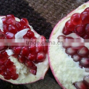 fresh pomegranate with special packing