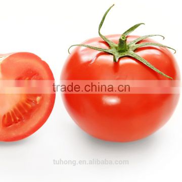 Chinese Hybrid Heat Resistant Pink Red Tomato Seeds for Sale