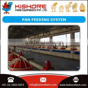 Best Quality Automatic Pan Poultry Feeding System for Sale