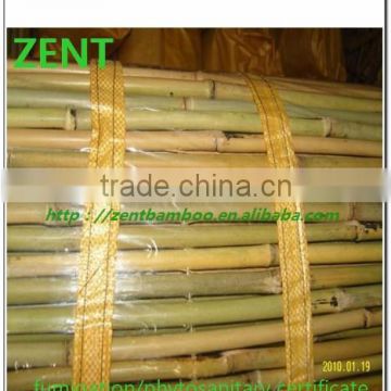 ZENT-74 Natural yellow rolling bamboo fence