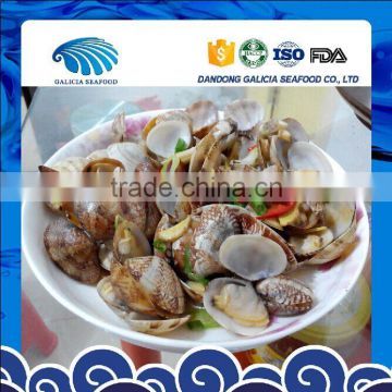 Frozen Boiled Clam Whole Year Round Supplying