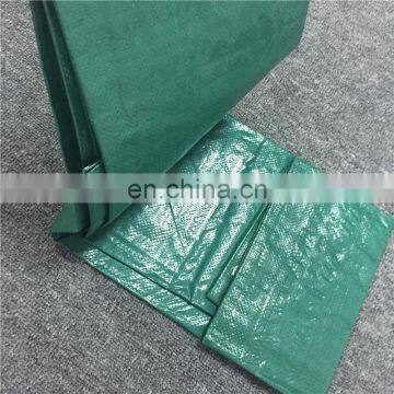 Waterproof pe tarpaulin clear plastic car bag