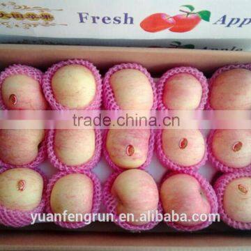 China Fresh perfumed fuji apple