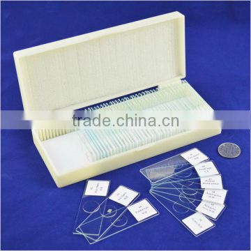 100pcs human histology microscope prepared slides from factory
