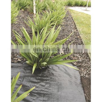 pp woven ground cover cloth factory