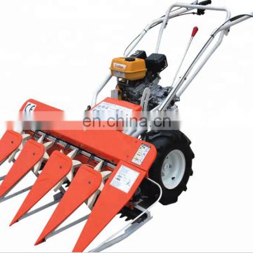 Reed cutting machine/reed harvest machine/reed reaper machine