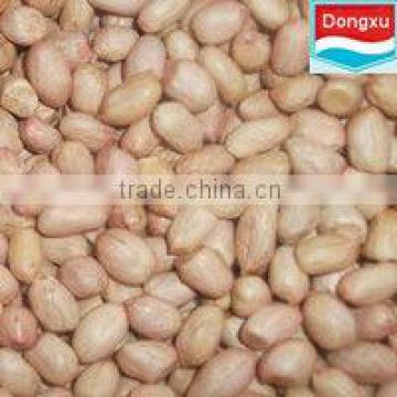 shandong peanuts for export
