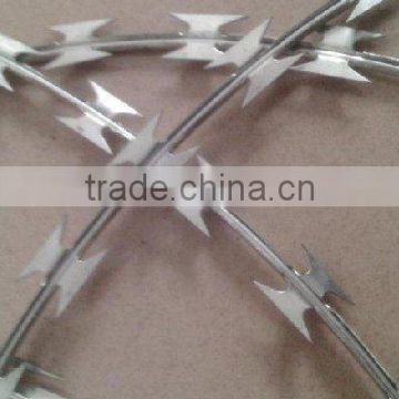 pvc coated razor barbed wire