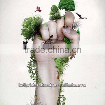High Quality Printed Posters / Brochures from India for Nature conservation