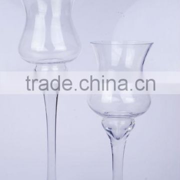 Flower clear glass vase