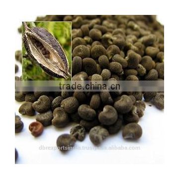 Ambrette Seed Oil / Hibiscus Abelmoschus Oil