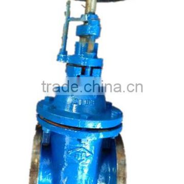 gate valve with drain