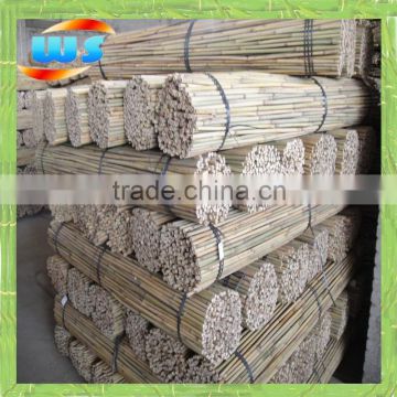 Natural bamboo cane support plants