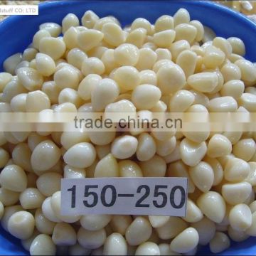 Salted garlic in brine 150-250