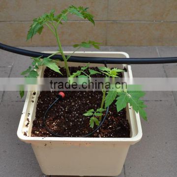 Hydroponics Duch Buckets for Tomatoes Peppers