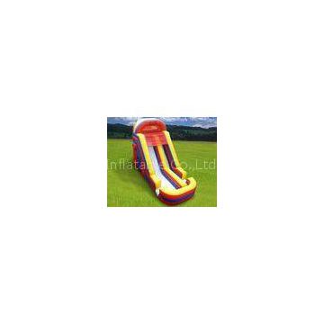 Commercial Grade PVC Tarpaulin Backyard Inflatable Water Slide WS07