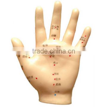 Hand held acupuncture on the Points,Hand Acupuncture with factory price