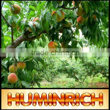 Humirich Shenyang 60HA+15FA+12K2O 100% Soluble Organic Foliar Fertilizer Potassium Fulvate