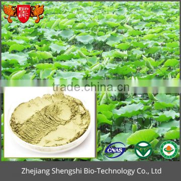 China supply lotus leaf P.E., Weight Loss product lotus leaf extract powder