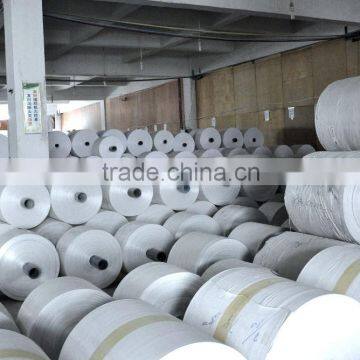 PP Woven Bag/PP SACK For Packing Rice, Sugar, Wheat and Food.