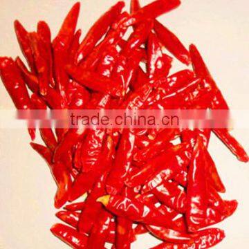 Whole Sale Hot Spicy Red Chili