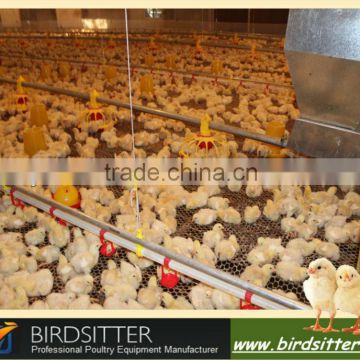 Automatic Poultry Equipment For Broiler and Chicken