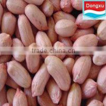 good quality peanut kernels 40/50