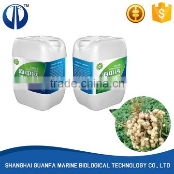 Factory manufacture various soluble fertilizer manufacturer
