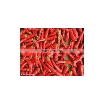 hot red dried chilli pepper in gunny bag