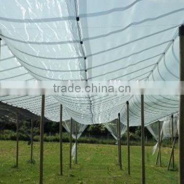 HDPE Anti Hai Netting Plastic Anti-hail Nets in agriculture nets