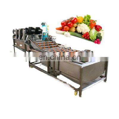 Large Scale Leaf Vegetable Cleaning Machine Fruit and Vegetable Cleaner Sea Lettuce Bubble Cleaner