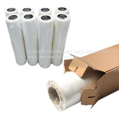 A3 13inch 11.8inch DTF Film Roll  Glossy /Matte PET films for DTF printing machines Hot/Cool Peel PET Heat Transfer vinyl film