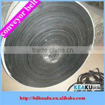 hot sale Nylon Conveyor Belts are used in industry