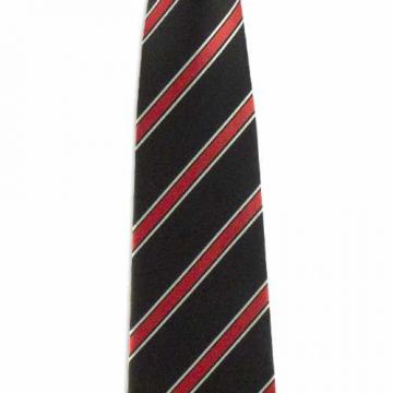 Satin Paisley Silk Woven Neckties Weave Customized