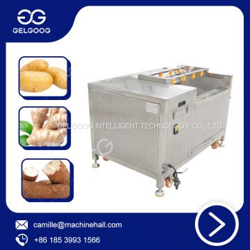 Carrot Washer Vegetable And Fruit Cleaner Machine For Cleaning Peeling Potatoes