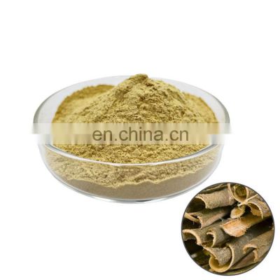 Hot Sell Pure White Willow Bark Extract 50% Salicin Powder