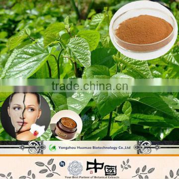 Ebay china website polysaccharides from mulberry leaves