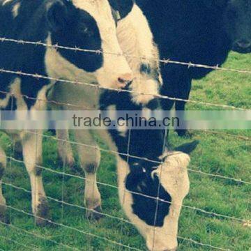 excellent popular cattle fence in 2014