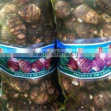 Big Size Good Taste Fresh Taro