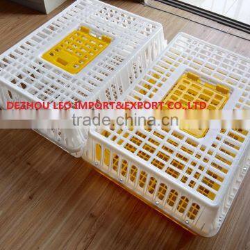 Top hatch best quality chicken crate for transportation plastic crate