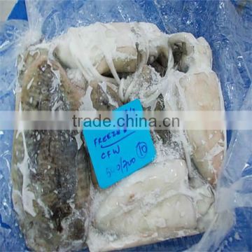 block frozen dried squid seafood