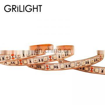 SMD 5050 DC12V RGB Waterproof Led Strip